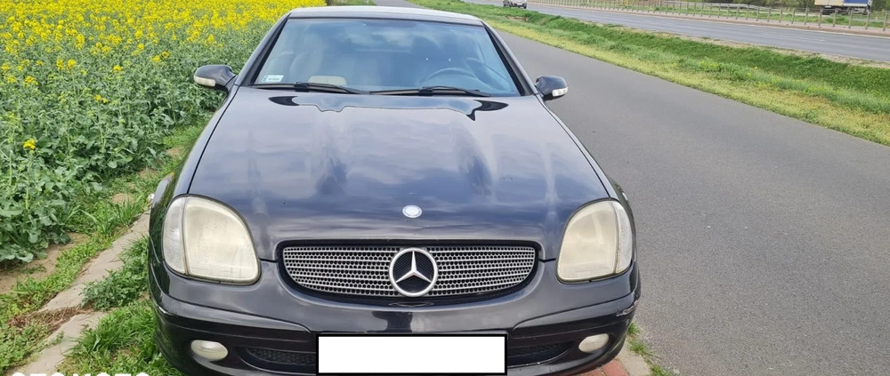 Mercedes-Benz SLK cena 12500 przebieg: 270610, rok produkcji 2001 z Zawiercie małe 79